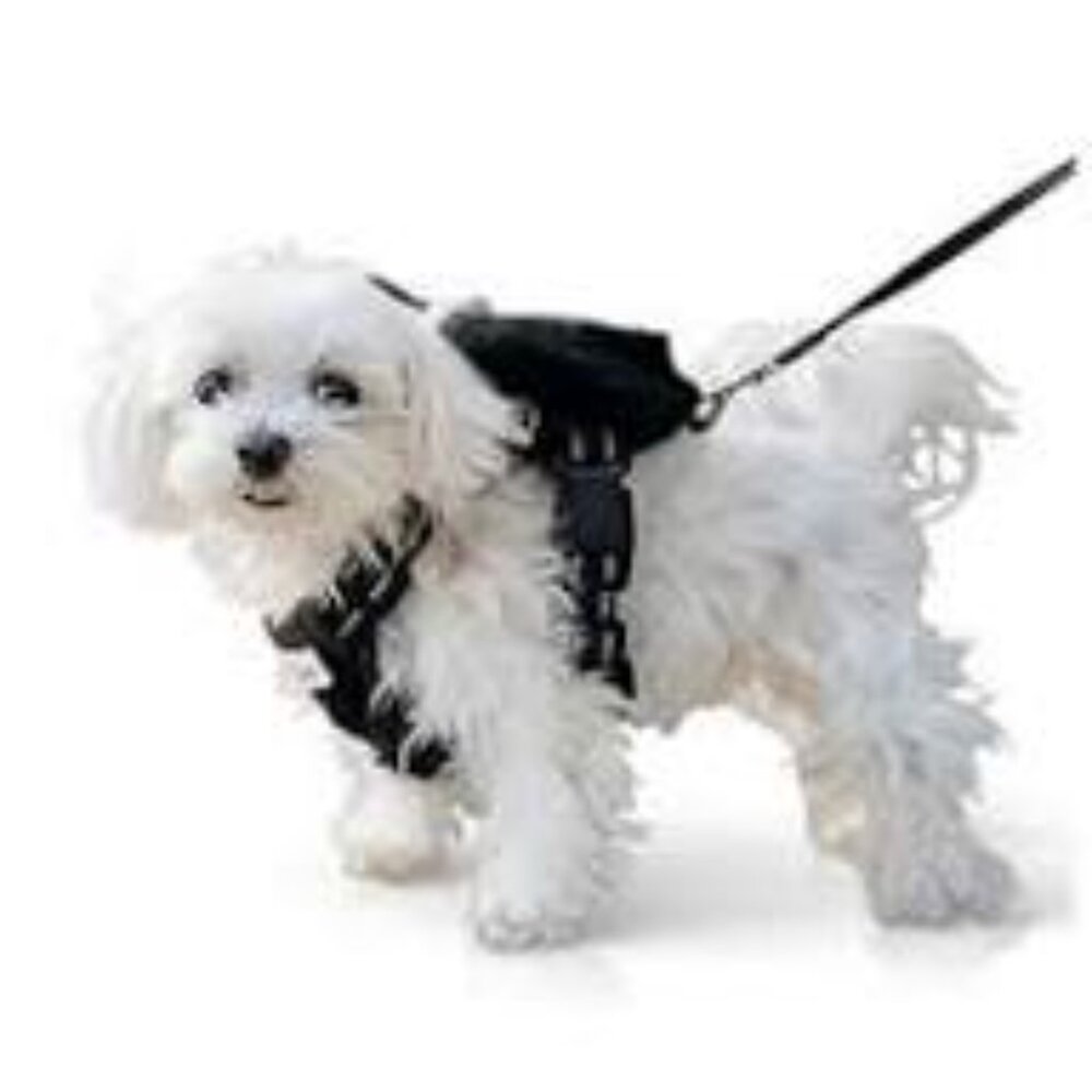 NWT Pet Fashion Pet Harness, Leash, And Backpack